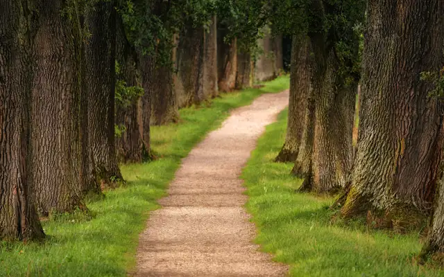 Groen Omstilling Sti (2)